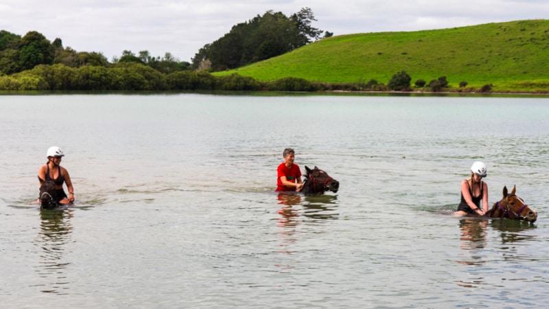 A popular, scenic ride around Waitangi followed by a swim with the horses in a nearby secret bay